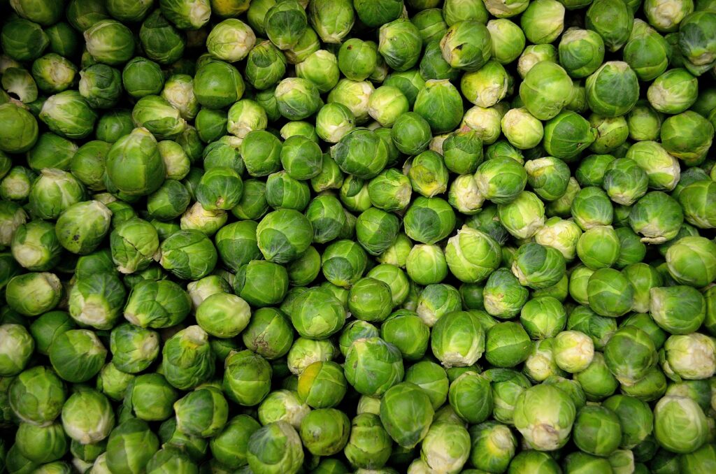 Weight loss lunch idea: brussel sprouts.